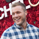 Illustration for article titled Hey Colton “The Bachelor” Underwood, is a hot dog a sandwich?